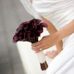 0343_IMG_4404