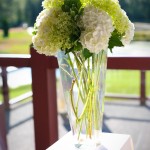 Pictures 022