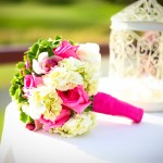 Pictures 034
